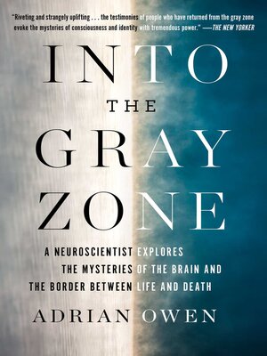 cover image of Into the Gray Zone
